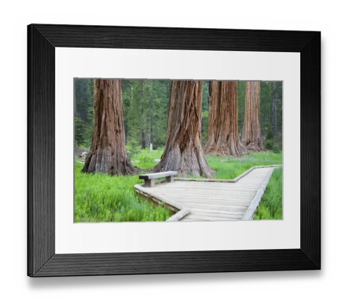 Framed Print : USA, North America, California