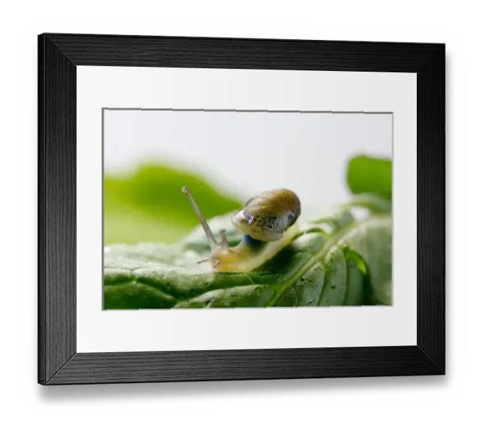 Framed Print : USA, North America, California Framed Print : USA, North America, California