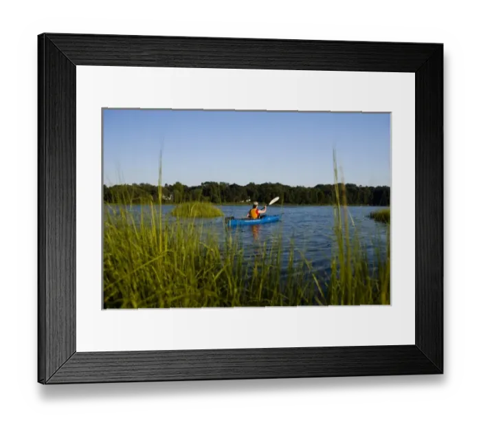 Framed Print : A woman kayaks in the Black Hall River near the mouth of the Connecticut River in Old Lyme Framed Print : A woman kayaks in the Black Hall River near the mouth of the Connecticut River in Old Lyme