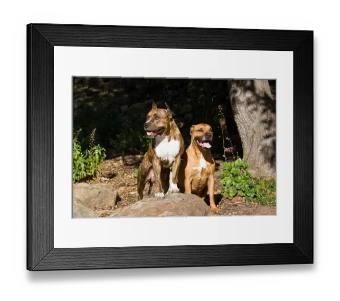 Framed Print : USA, North America, California Framed Print : USA, North America, California
