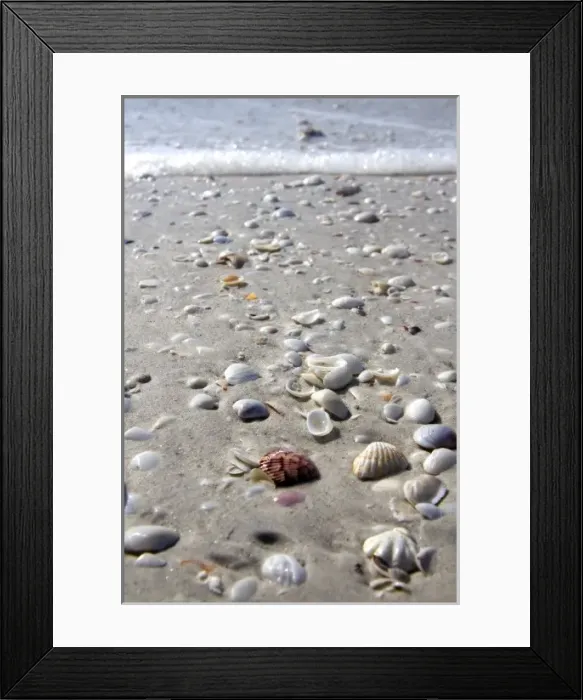Framed Print : USA, North America, Florida Framed Print : USA, North America, Florida