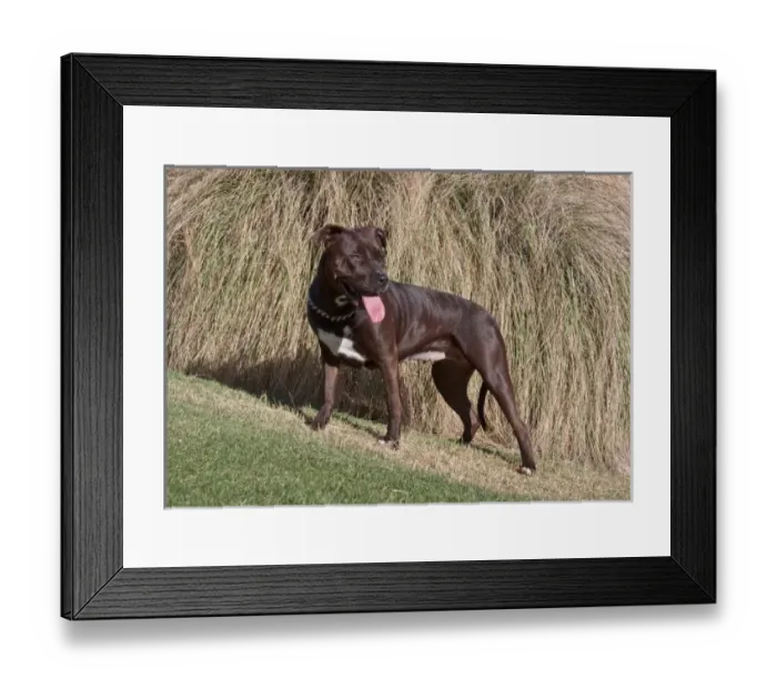 Framed Print : USA, North America, California Framed Print : USA, North America, California