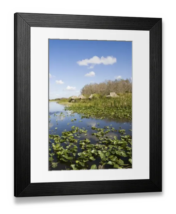Framed Print : USA, North America, Florida Framed Print : USA, North America, Florida