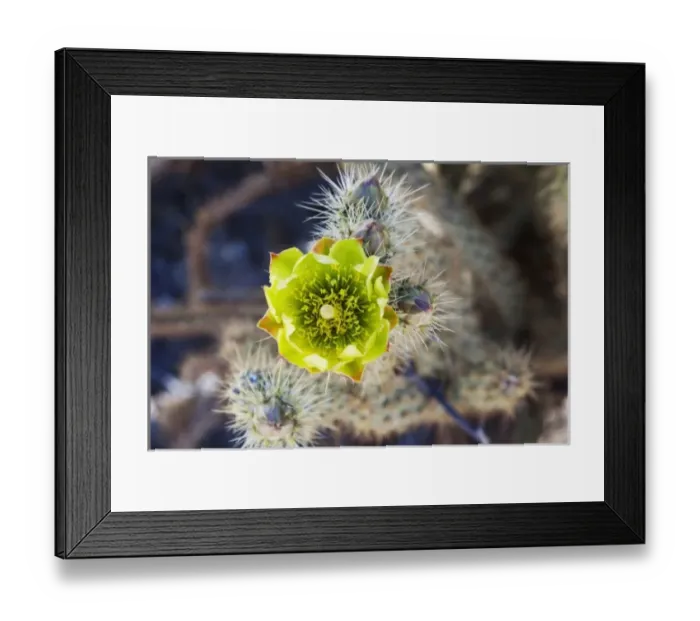 Framed Print : USA, North America, California Framed Print : USA, North America, California