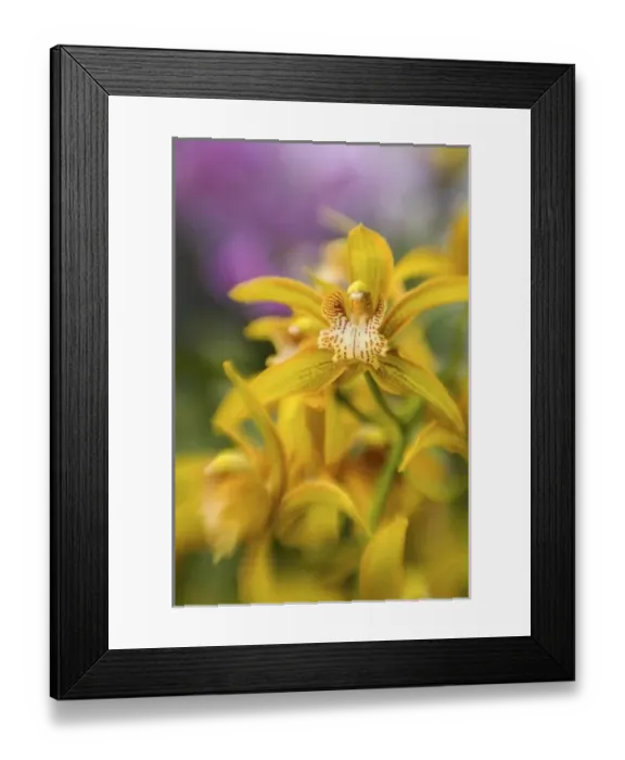 Framed Print : USA, North America, District of Columbia Framed Print : USA, North America, District of Columbia