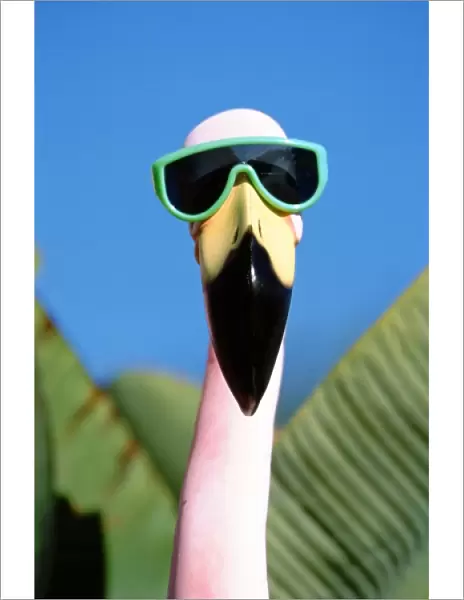 North America, USA, California, San Diego. Sea World, plastic flamingo with sun glasses
