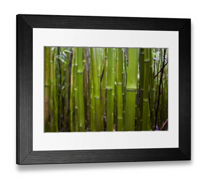 Framed Print : USA, North America, Florida Framed Print : USA, North America, Florida
