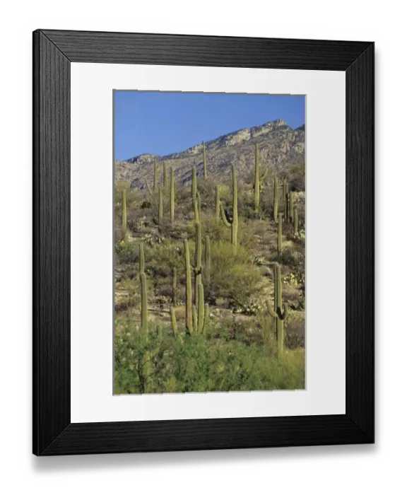 Framed Print : USA, North America, Arizona