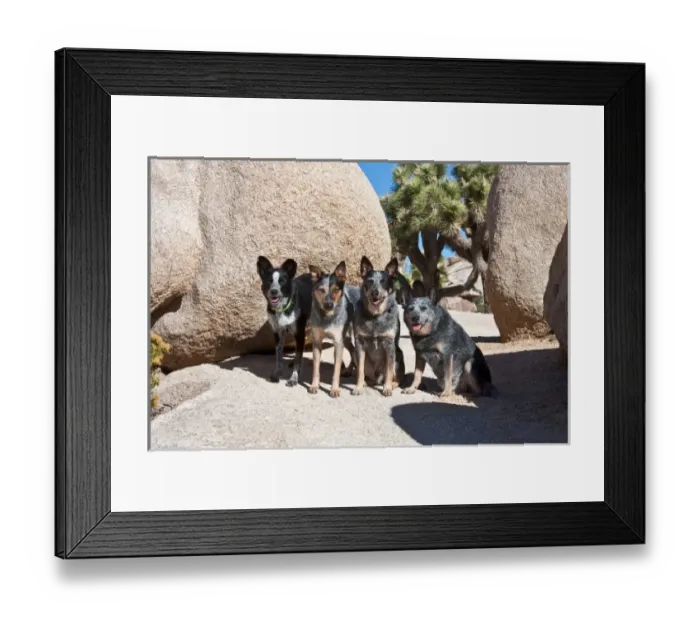 Framed Print : USA, North America, California Framed Print : USA, North America, California