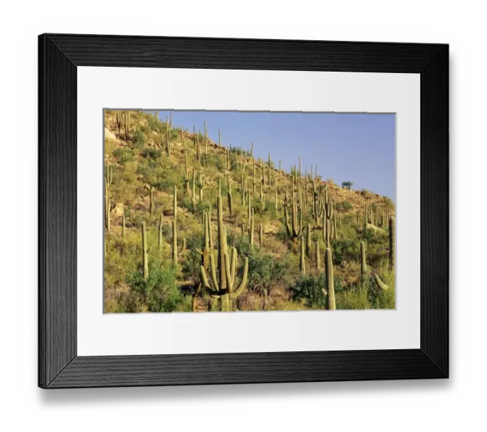 Framed Print : USA, North America, Arizona Framed Print : USA, North America, Arizona