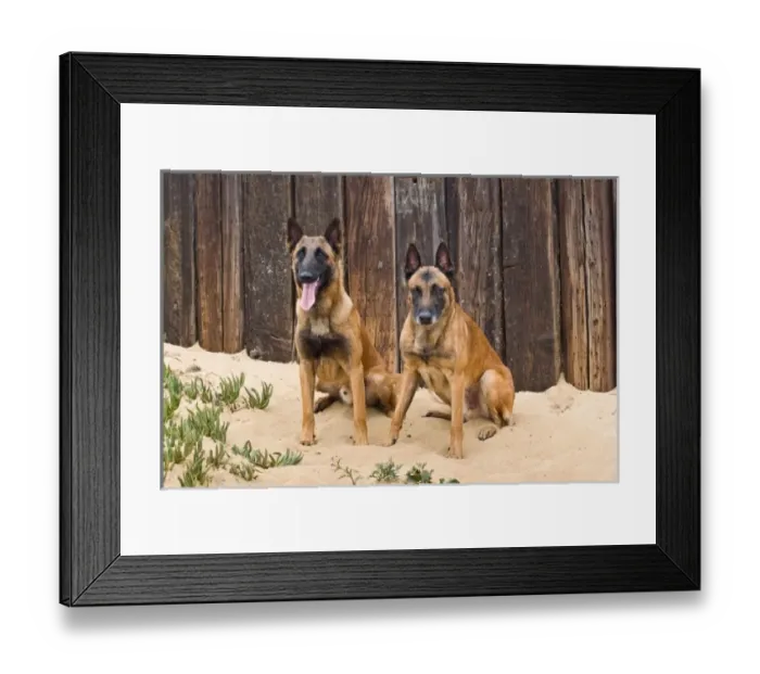 Framed Print : USA, North America, California Framed Print : USA, North America, California