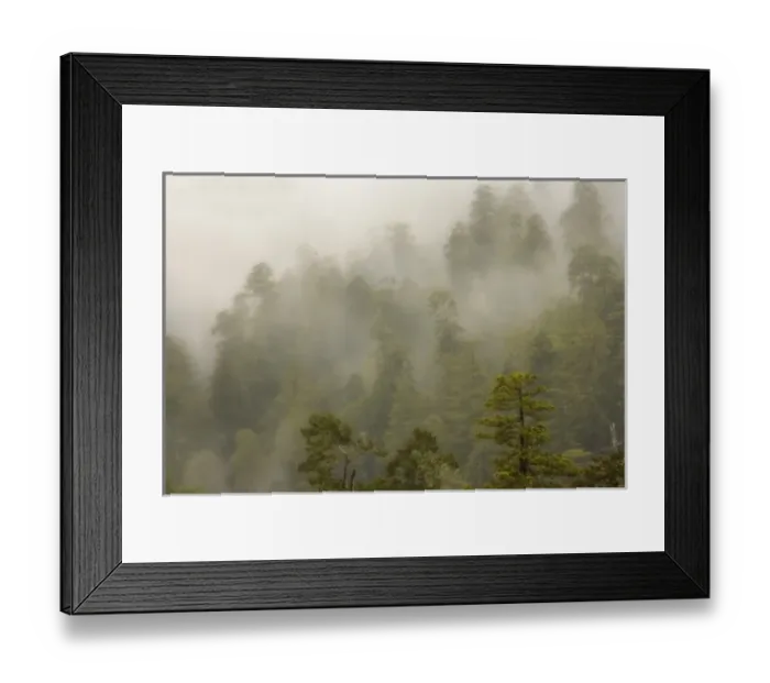 Framed Print : USA, North America, California