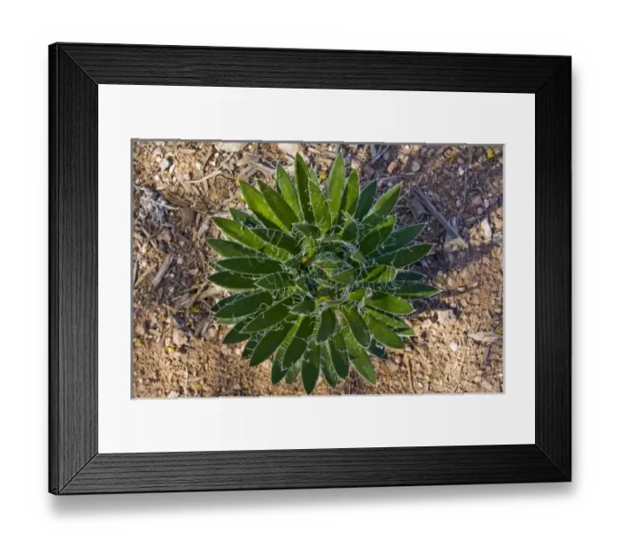 Framed Print : USA, North America, Arizona Framed Print : USA, North America, Arizona