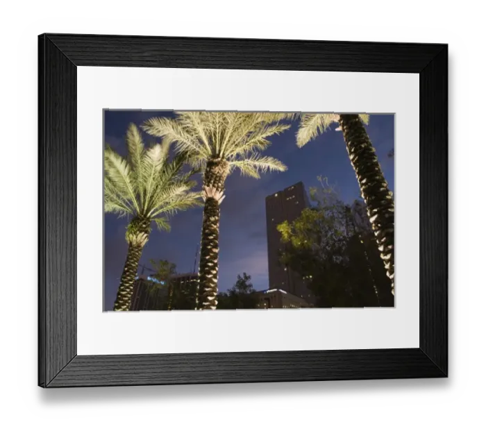 Framed Print : USA, Florida, Miami: Downtown, Financial District and Palms / Dawn Framed Print : USA, Florida, Miami: Downtown, Financial District and Palms / Dawn