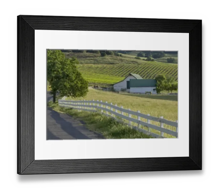 Framed Print : USA, North America, California