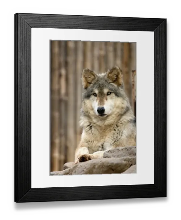 Framed Print : USA, North America, California Framed Print : USA, North America, California