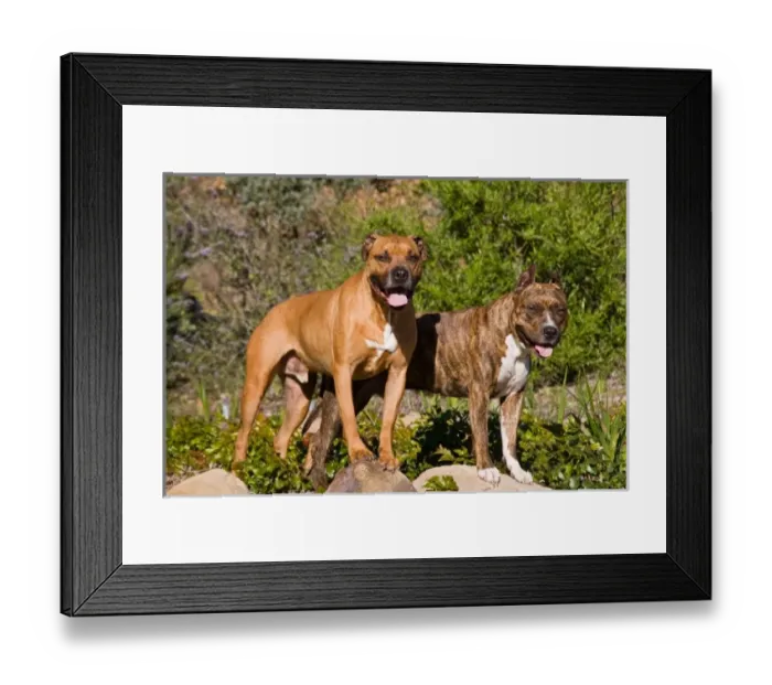 Framed Print : USA, North America, California Framed Print : USA, North America, California