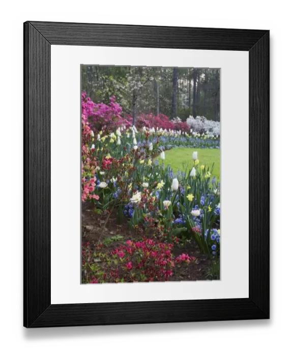 Framed Print : USA, North America, Georgia Framed Print : USA, North America, Georgia