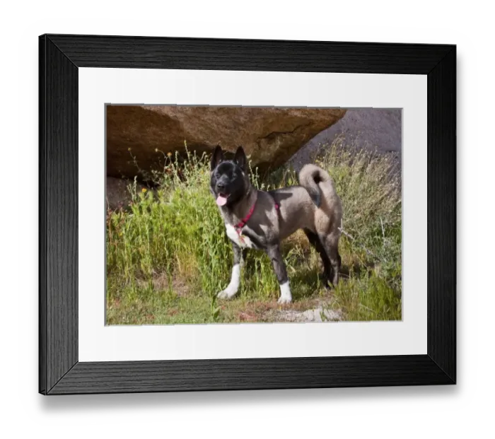 Framed Print : USA, North America, California Framed Print : USA, North America, California