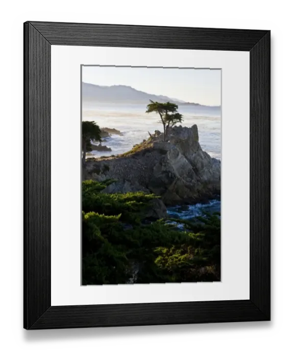 Framed Print : USA. California. Carmel-by-the-Sea. Sunrise lights the famous Lone Cypress as viewed Framed Print : USA. California. Carmel-by-the-Sea. Sunrise lights the famous Lone Cypress as viewed