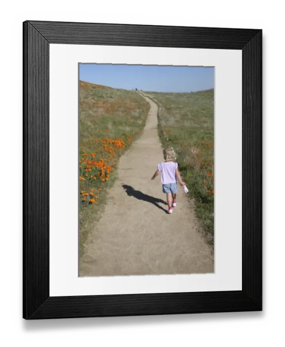 Framed Print : USA, North America, California Framed Print : USA, North America, California