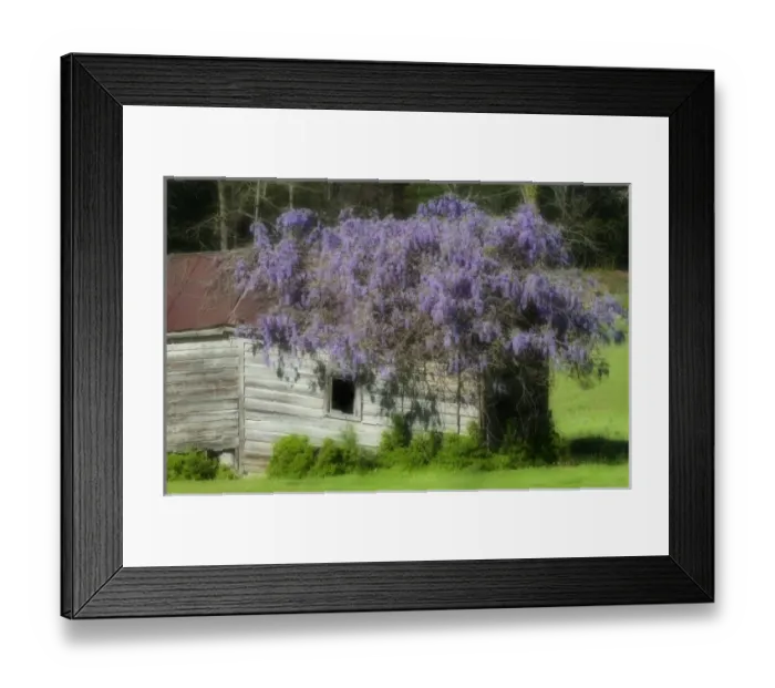 Framed Print : USA, North America, Georgia Framed Print : USA, North America, Georgia