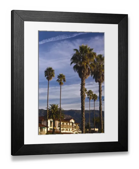 Framed Print : USA, California, Southern California, Santa Barbara, Cabrillo Boulevard, palms, morning Framed Print : USA, California, Southern California, Santa Barbara, Cabrillo Boulevard, palms, morning