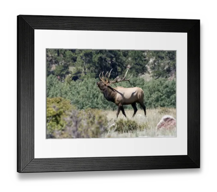 Framed Print : USA, North America, Colorado