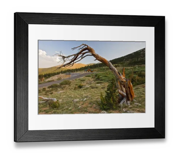 Framed Print : USA, North America, Colorado Framed Print : USA, North America, Colorado