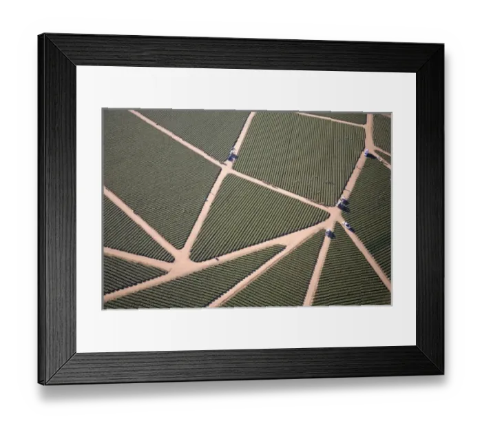 Framed Print : USA. California. Watsonville. Aerial of strawberry fields in Watsonville form patterns and shapes Framed Print : USA. California. Watsonville. Aerial of strawberry fields in Watsonville form patterns and shapes