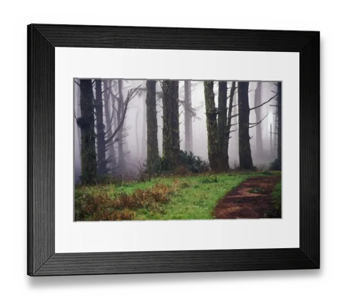 Framed Print : Path throught the misty forest, Point Reyes National Park, CA, USA