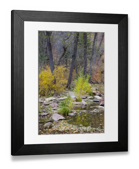 Framed Print : USA, North America, Arizona Framed Print : USA, North America, Arizona