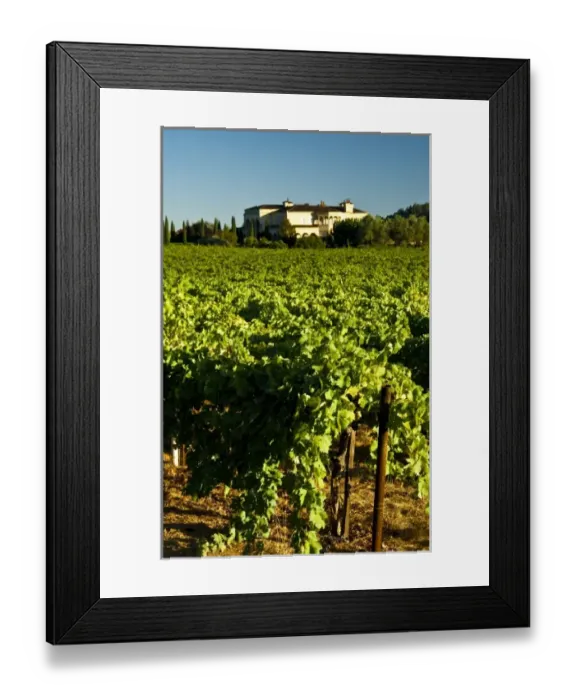Framed Print : USA, North America, California