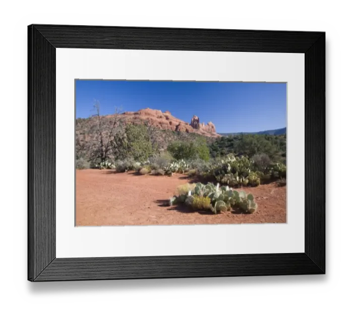 Framed Print : AZ, Arizona, Sedona, Red Rock Country, Prickly Pear Cactus, Camel Rock in the background