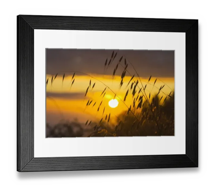 Framed Print : USA, North America, California