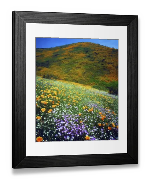 Framed Print : USA, North America, California Framed Print : USA, North America, California