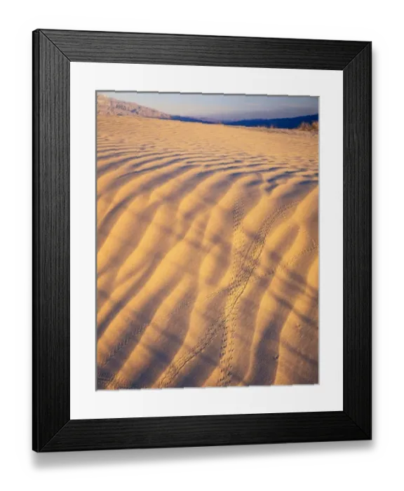 Framed Print : USA, North America, California