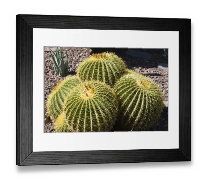 Framed Print : USA, North America, Arizona Framed Print : USA, North America, Arizona
