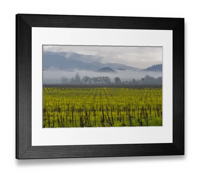 Framed Print : USA, North America, California Framed Print : USA, North America, California