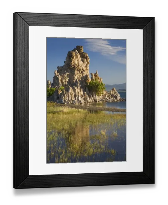 Framed Print : USA, North America, California