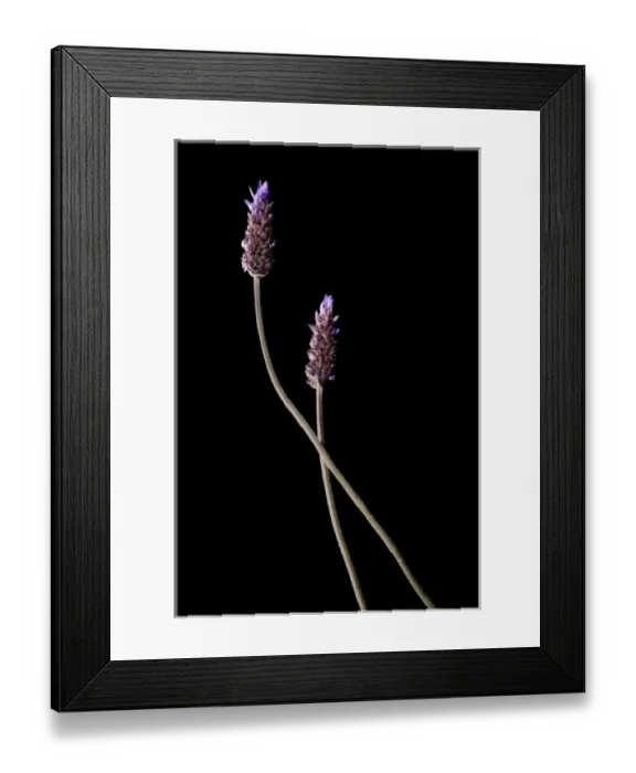 Framed Print : Flora, California Framed Print : Flora, California