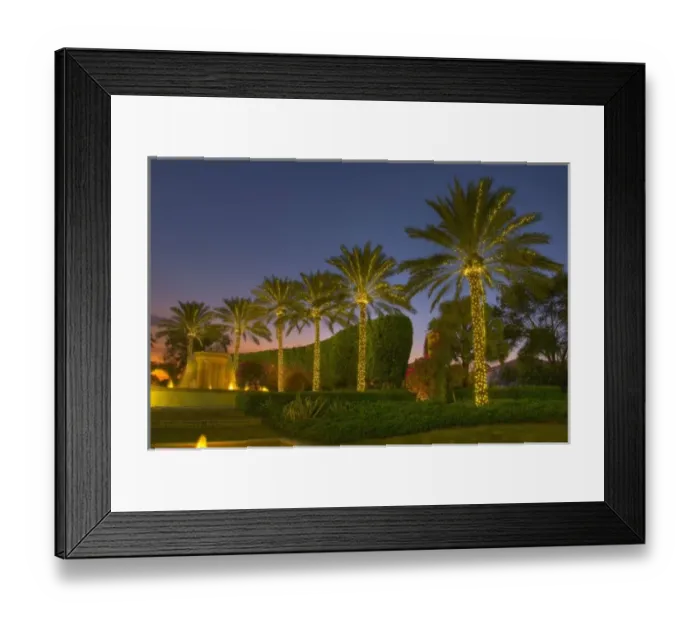 Framed Print : USA, Southeast Florida. Festive Christmas holiday lighting in the tropical warmth of Florida