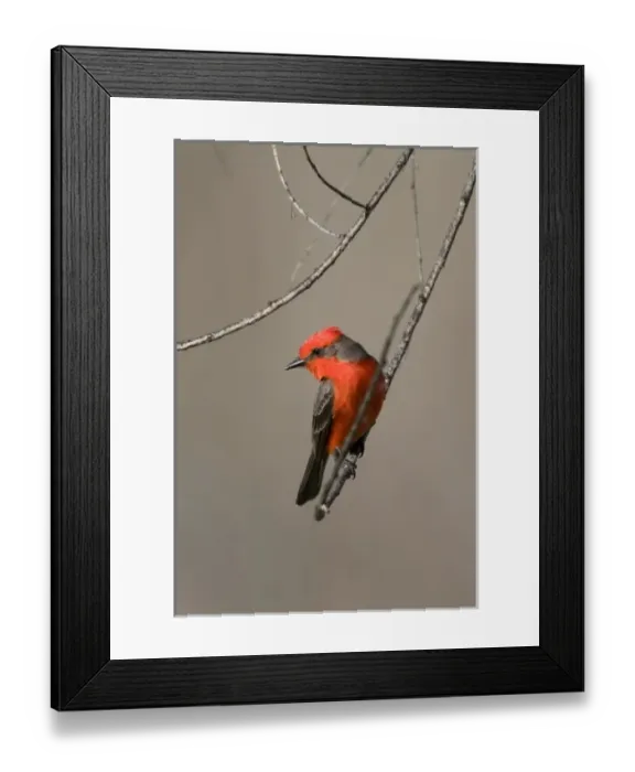Framed Print : USA, North America, California Framed Print : USA, North America, California