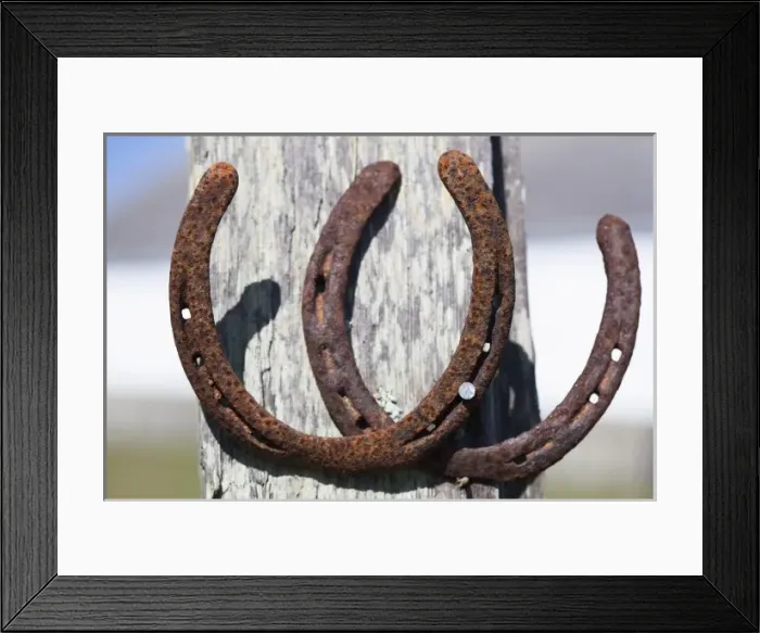 Framed Print : Two rusty horseshoes. Point Reyes National Seashore, California