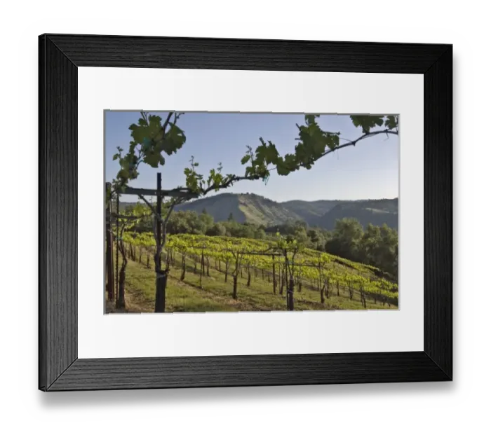 Framed Print : USA, North America, California