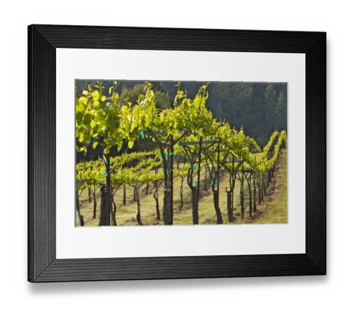 Framed Print : USA, North America, California Framed Print : USA, North America, California