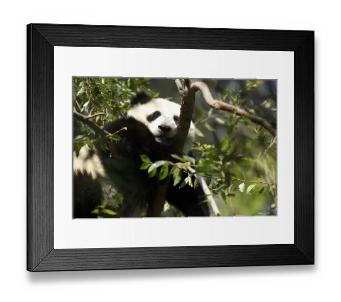 Framed Print : USA, North America, California Framed Print : USA, North America, California
