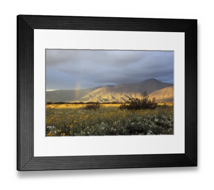 Framed Print : Image of rainbow during storm over Anza-Borrego Desert State Park, CA