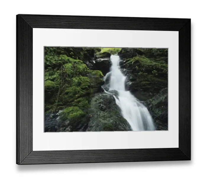 Framed Print : Cascade Falls, Elliot Nature Preserve, Fairfax, California Framed Print : Cascade Falls, Elliot Nature Preserve, Fairfax, California