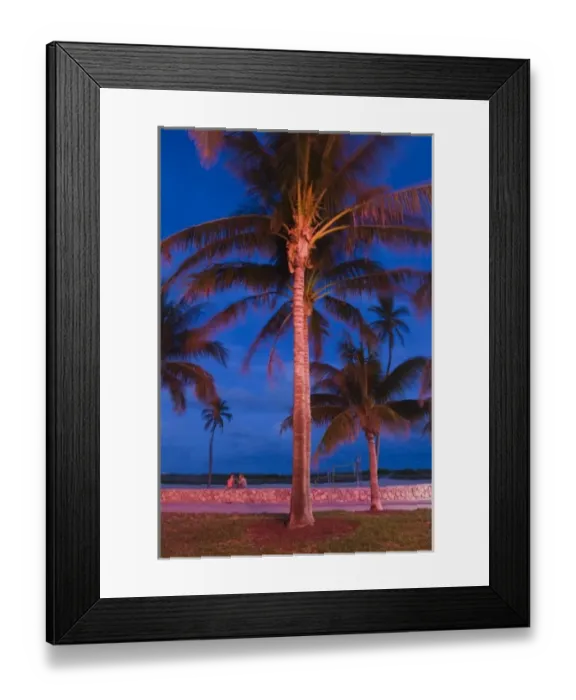 Framed Print : USA, Florida, Miami Beach: South Beach, South Beach Palms  /  Evening